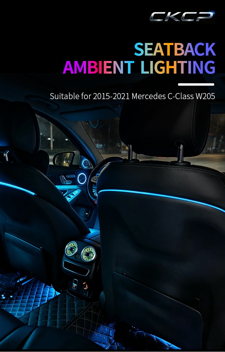 Mercedes-Benz C-Class W205 product detail